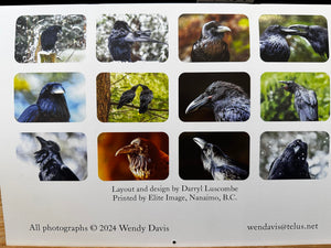 2025 Raven Calendar