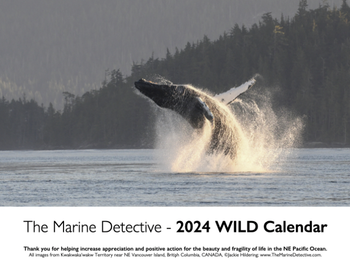 2024 Wild Calendar