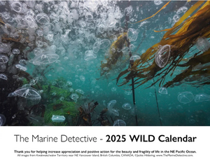 2025 Wild Calendar
