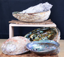 Load image into Gallery viewer, Abalone Shell
