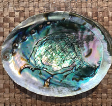 Load image into Gallery viewer, Abalone Shell

